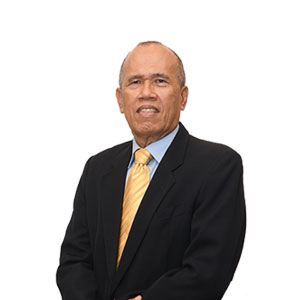 Y. Bhg. Dato Majid Mohamad